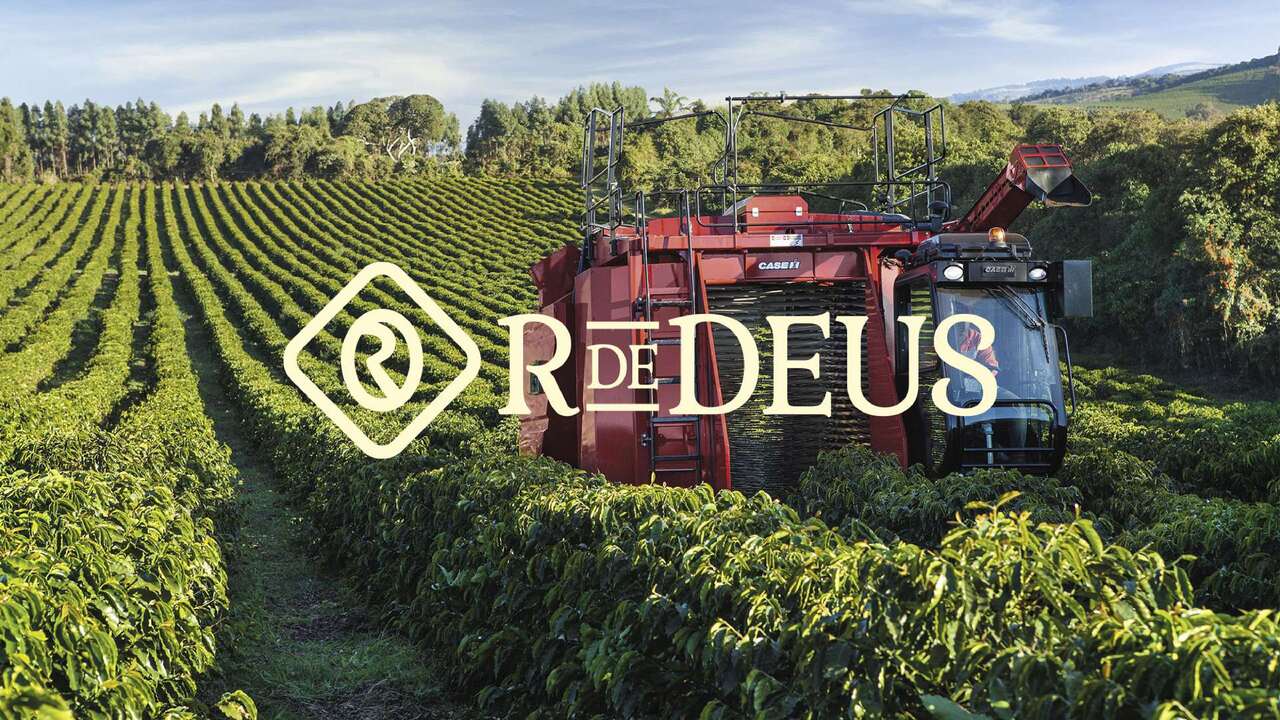 Identidade Visual R. de Deus - Apresentação_pages-to-jpg-0046_Easy-Resize.com